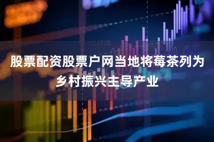 股票配资股票户网当地将莓茶列为乡村振兴主导产业
